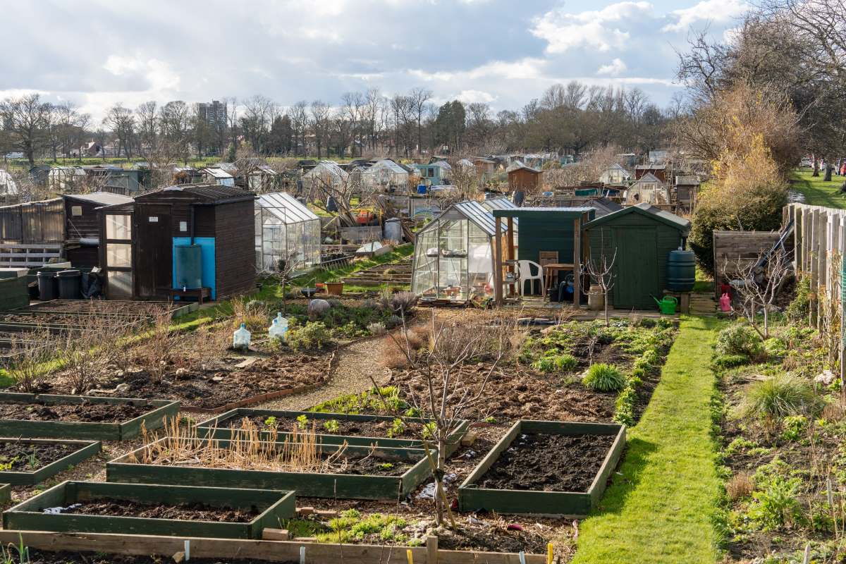 Schrebergarten im Ortenaukreis — Pacht, Regeln und was Sie v